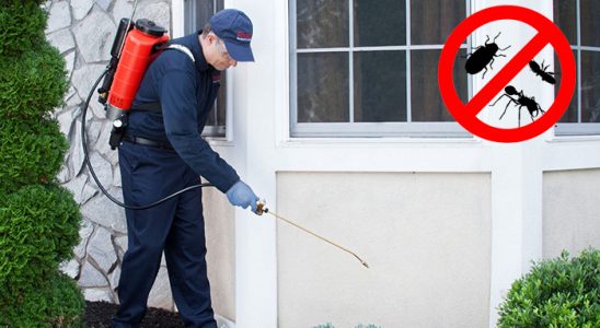 Çatalpınar Dezenfeksiyon böcek ilaçlama ve haşere kontrolü — ilaclama-tr.com